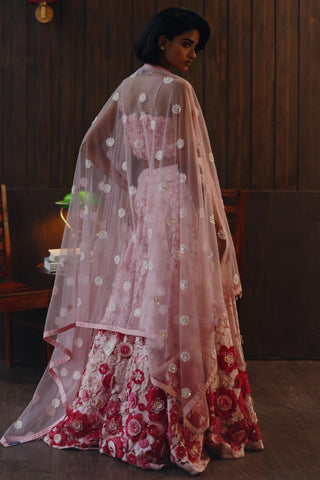 Lehenga set for Indian Wedding – Pink Garden Muse by 29india