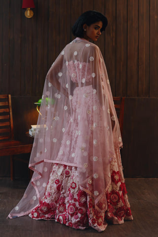 Lehenga set for Indian Wedding – Pink Garden Muse by 29india