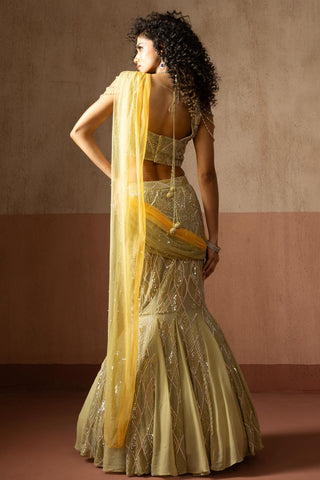 Fishtail drape saree for Indian Wedding – Sage & Yellow Heer by Quench A Thirst