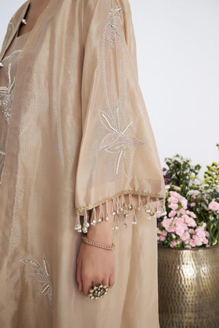 Beige zarbulbul cape set