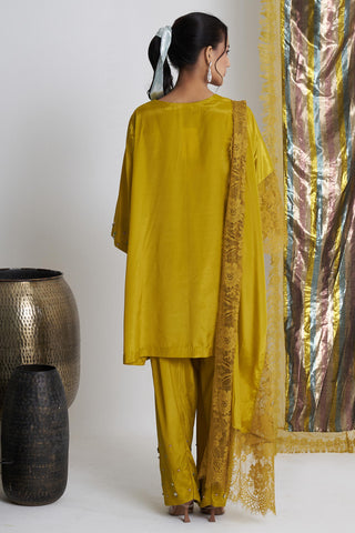 Yellow sarson softy farshi salwar suit set