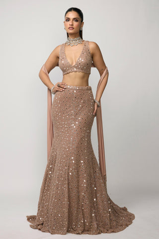 Lehenga Set Indian Wedding - pink rose fishcut by Vvani By Vani Vats