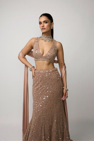 Lehenga Set Indian Wedding - pink rose fishcut by Vvani By Vani Vats