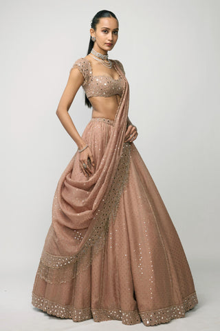 Lehenga Set Indian Wedding - Pink sequins embroidered by Vvani By Vani Vats