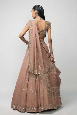 Lehenga Set Indian Wedding - Pink sequins embroidered by Vvani By Vani Vats