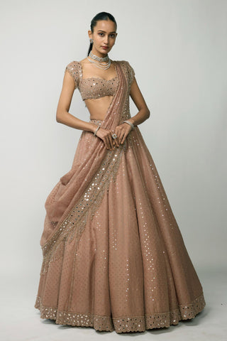 Lehenga Set Indian Wedding - Pink sequins embroidered by Vvani By Vani Vats