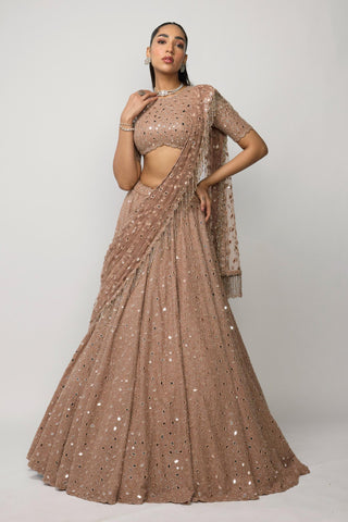 Lehenga Set Indian Wedding - Pink rose by Vvani By Vani Vats
