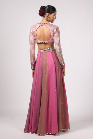 Pink noorani lehenga pant set