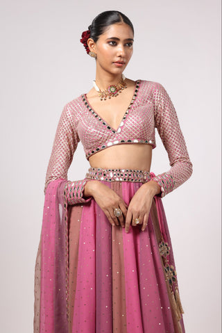 Pink noorani lehenga pant set
