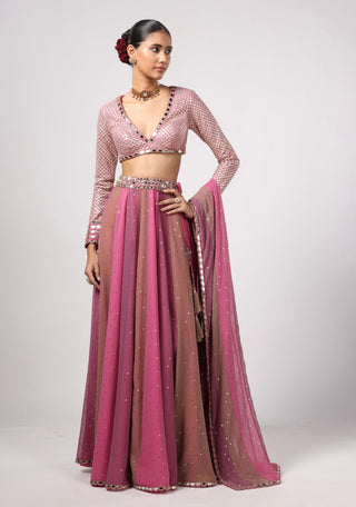 Pink noorani lehenga pant set