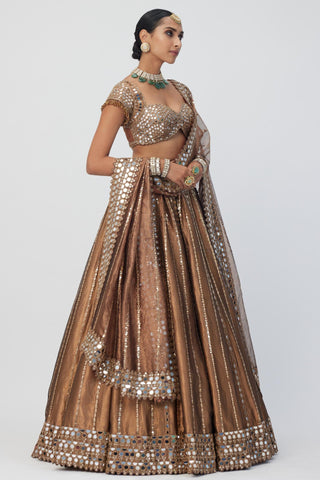 Brown tara regal affair shimmer lehenga set