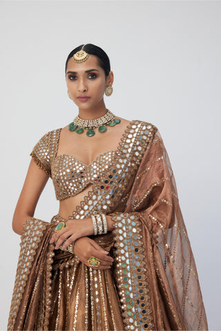 Brown tara regal affair shimmer lehenga set