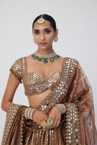 Brown tara regal affair shimmer lehenga set