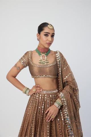 Brown tara regal affair organza sequins lehenga set