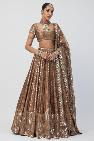 Brown tara regal affair organza sequins lehenga set