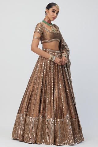 Brown tara regal affair organza sequins lehenga set