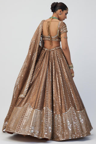 Brown tara regal affair organza sequins lehenga set