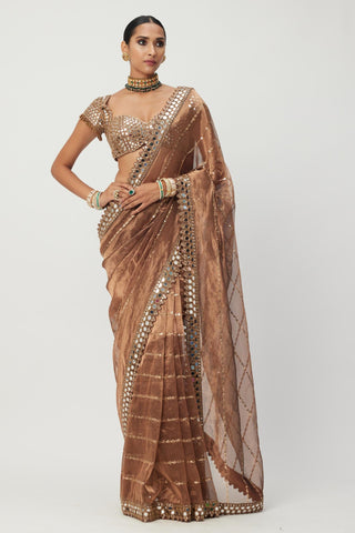 Brown tara regal affair organza saree set