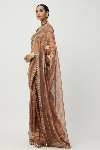 Brown tara regal affair organza saree set
