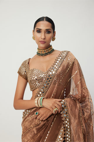 Brown tara regal affair organza saree set
