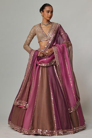 Pink multicolor noorani lehenga set