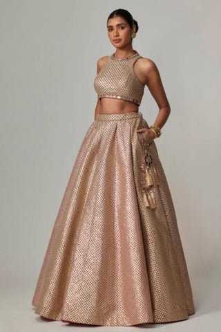 Beige noorani crop top with lehenga