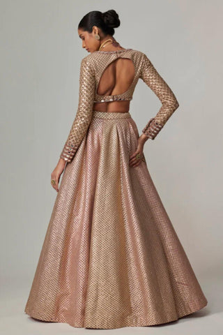 Beige noorani lehenga with crop top