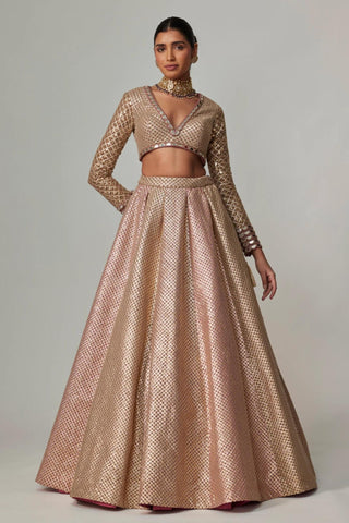 Beige noorani lehenga with crop top