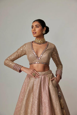 Beige noorani lehenga with crop top