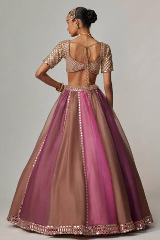 Pink multicolor noorani lehenga with elbow sleeve blouse