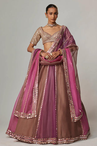 Pink multicolor noorani lehenga with elbow sleeve blouse