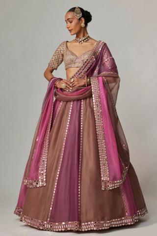 Pink multicolor noorani lehenga with elbow sleeve blouse