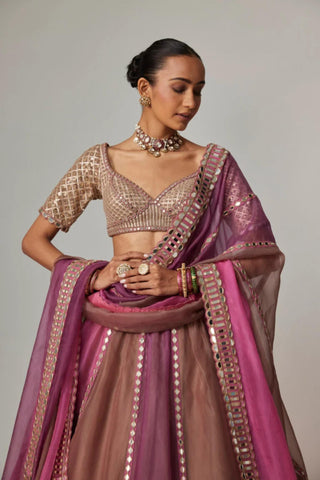 Pink multicolor noorani lehenga with elbow sleeve blouse