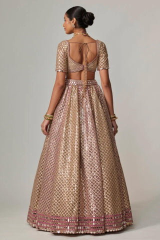 Beige noorani metallic lehenga with blouse