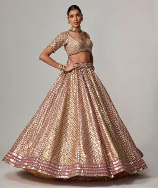 Beige noorani metallic lehenga with blouse