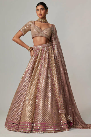 Beige noorani metallic lehenga with blouse