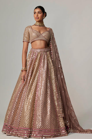 Beige noorani metallic lehenga with blouse