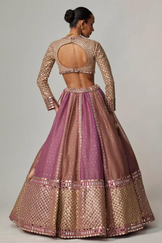 Pink multicolor noorani lehenga with blouse