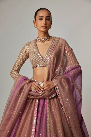 Pink multicolor noorani lehenga with blouse
