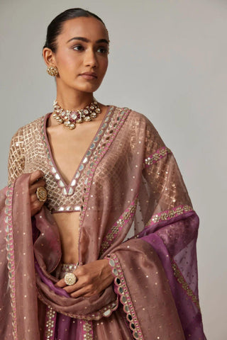 Pink multicolor noorani lehenga with blouse