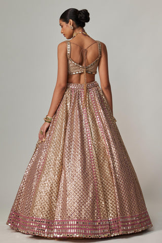 Beige multicolor noorani metallic lehenga with blouse