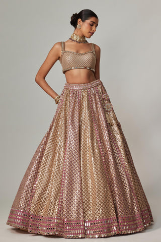 Beige multicolor noorani metallic lehenga with blouse