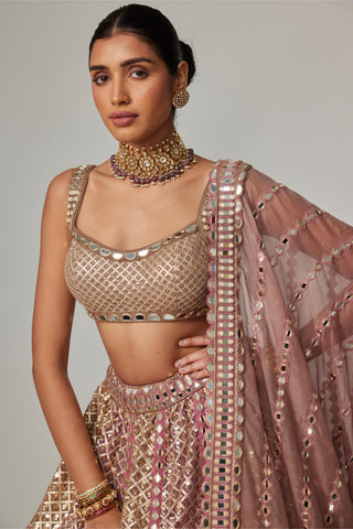 Beige multicolor noorani metallic lehenga with blouse