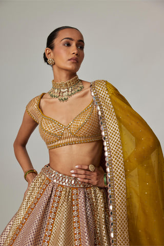 Yellow multicolor noorani heavy metallic lehenga set
