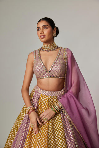 Yellow multicolor noorani crop top with dupatta