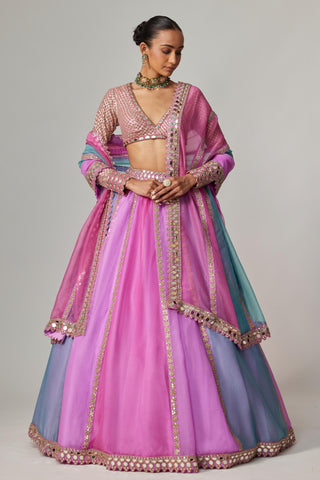 Purple multicolor noorani linear lehenga set