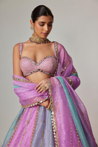 Purple multicolor noorani sequin scattered lehenga