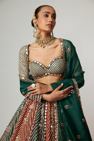 Maroon noorani flower linear lehenga with full sleeve blouse