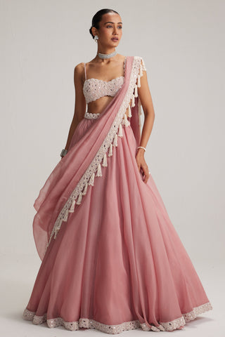 Lehenga set, Indian Wedding - Dusty Rose Organza Mirror Pearl by Vvani By Vani Vats