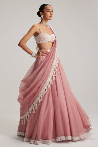 Lehenga set, Indian Wedding - Dusty Rose Organza Mirror Pearl by Vvani By Vani Vats
